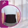 Accusure Flamingo Contoured LS Support Belt (Lumbar Spine Support) – OC 2007