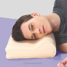 Flamingo Cervical Pillow