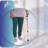 Flamingo Classic Walking Stick with Torch